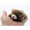 takeoff pokepuni brown bear
