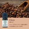 Organic Essential Oil MABIO (Clove)