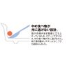 Coziness Dinnerware Round 小鉢 No. 702 14 cm