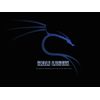 Kali Linux - Hacking and Penetration testing - NEW From the makers of BackTrack Linux - 32-bit version