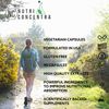 Formula to Support Healthy Menstrual Cycle, Support Estrogen Regulation, 90 Caps