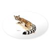CafePress Ringtail Wild Cat Oval Car Bumper Sticker