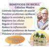 Celulas Madre BICELL BIOCELL  2 Frascos Regenerador Celular Natural BIOXCELL
