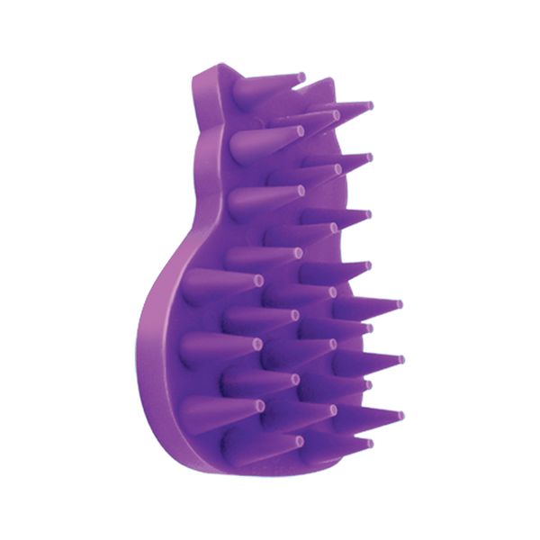 Cat Zoom Groom