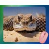 RATTLE SNAKE FACE   mouse pad mousepad