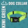 Alpha Pak | Dog Collar | Lightweight, Fast-Drying, Durable | Kiwi Green | Medium