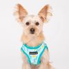 Puppia FETE Harness A, Colour: Aqua, Size: M