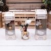 Bottle Reed Floral Diffuser Set (200 ml)