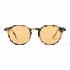 Ijipizi 3701210425429 Sleeping #D Light Tortoise, light tortoise