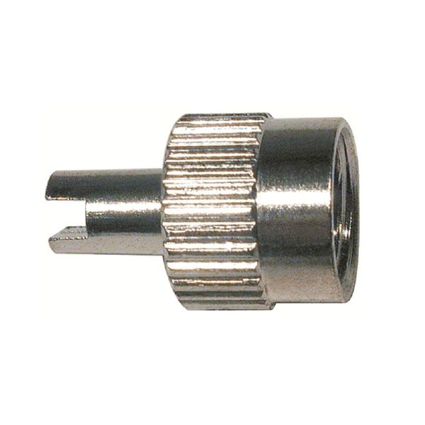 Camel Tire 386004 Valve Caps
