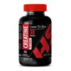 muscle boost - CREATINE TRI-PHASE - creatine monohydrate capsules - 1 Bottle