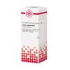 Allium sativum D12 DHU Dilution, 20 ml Lösung