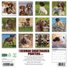 German Shorthaired Pointers 2026 12" x 12" Wall Calendar