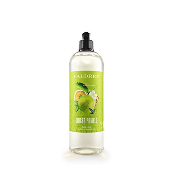 Caldrea Dish Soap, Biodegradable Dishwashing Liquid made with Soap Bark and Aloe Vera, Ginger Pomelo Scent, 16 oz
