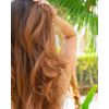 Salon pHactor Moisturizing Conditioner 16 fl oz. Sulfate Free, Reverses Damage