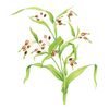 【第3類医薬品】山本漢方ハトムギ錠 504錠 ヨクイニン