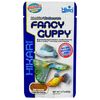 Hikari Fancy Guppy