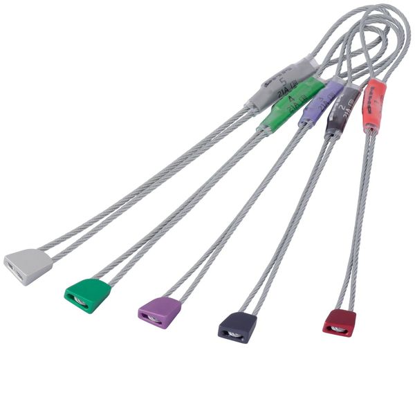 Dmm Peenut Set 1-5 Assorted