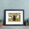 'Ewe're A Big Softee' Mounted Print by Thomas Joseph - Sheep Art