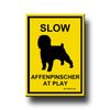 Affenpinscher Slow At Play Fridge Magnet