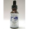 Kan Herbs - Zizyphus Sleep Formula 1 oz