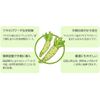 Wasa Aurora Set P CS500P