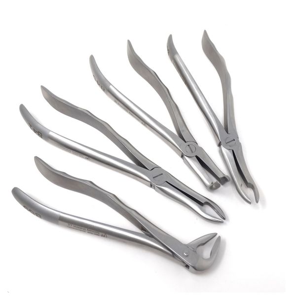 Extracting Forceps, Surgical Dental Instruments-SET Of 4, 841 + 844 + 845 + 859