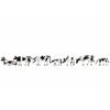 Noch 15721 Cows Black/White Landscape Modelling