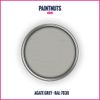 PaintNuts Multi-Surface Paint - RAL-7038 - AGATE GREY - 500ml Tin - Satin Finish