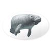 CafePress Manatee Oval Car Bumper Sticker