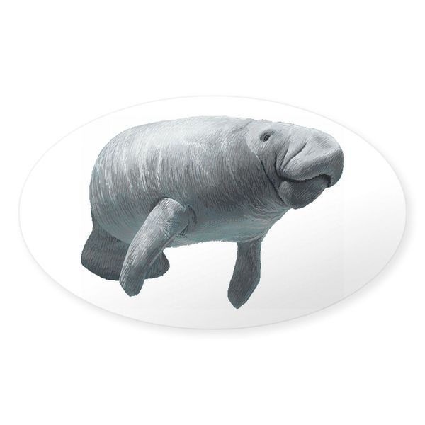 CafePress Manatee Oval Car Bumper Sticker