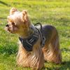 No Pull Dog Pet Harness Reflective Strip Adjustable Control Comfort Handle Black