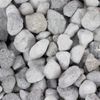SEACHEM  MATRIX 2 LITER BIO FILTRATION MEDIA CONTROL AMMONIA NITRITE 