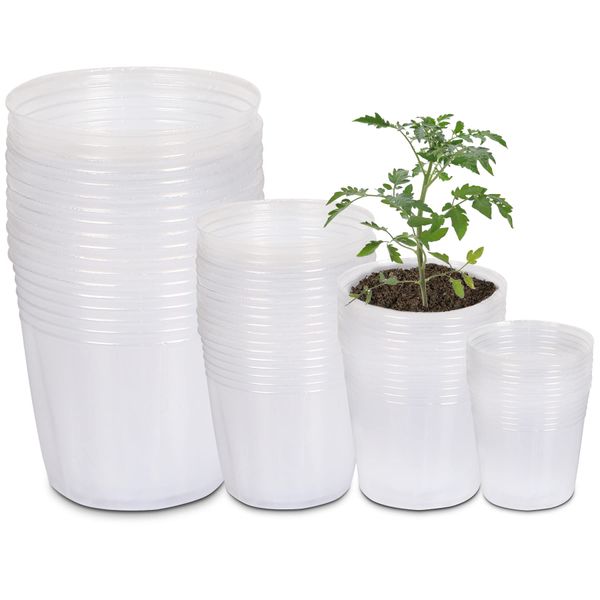 UPINS Clear Nursery Pots 40 Packs 3/4/5/6 Inches Plant Pots with Drainage Hole Seedling Transparent Plastic Gardening Pots Durable Seed Starter Pots Reusable for Plants Vegetables