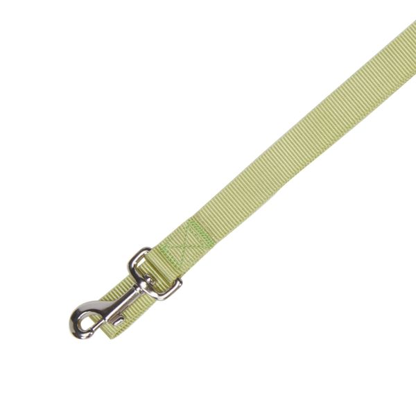 Zack & Zoey Basic Nylon Dog Leash, 4-Feet x 5/8-Inch Lead, Parrot Green