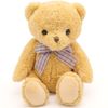 ASH LOVERS Birthday Teddy Bear, Plush Bear, Present for Children.