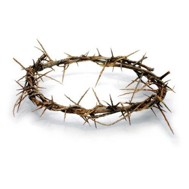Passion of Christ Crown of Thorns/Authentic Crown of Thorns Comes in Gift Box with Description
