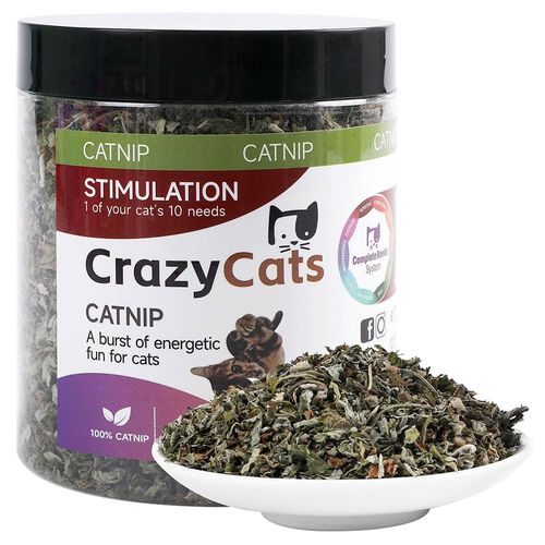 NZLOMXU 100% Natural Catnip and Pure Catnip for Your Furry Friend Taste Funny Cat Toy New Cat Toy Interactive Cat Toys Pet Supplies
