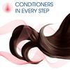 Clairol Nice 'N Easy 3 Brown Black 1 Kit