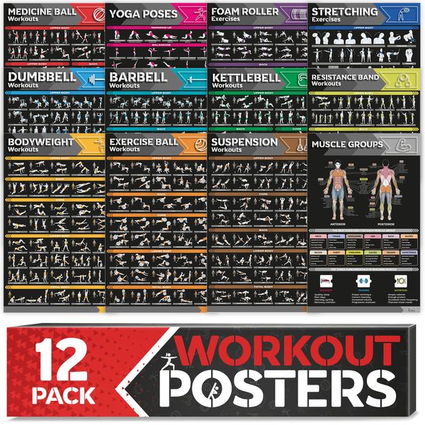 [12-PACK] Laminated Large Workout Poster Set - Perfect Workout Posters for Home Gym - Exercise Charts Incl. Dumbbell, Yoga Poses, Resistance Band, Kettlebell, Stretching & More Fitness Gym Posters