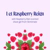 Skintimate Raspberry Rain Moisturizing Shave Gel for Women, 7oz (3 Pack)