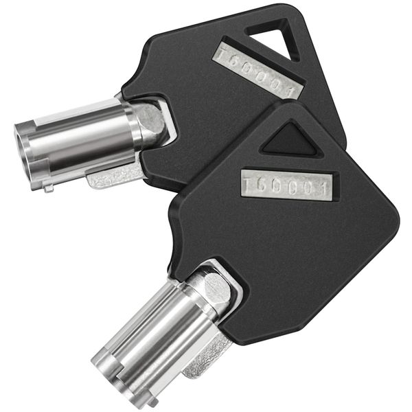 AboveTEK Replacement Key for Laptop Locking Station – Compatible with AboveTEK Universal Laptop Security Lock, Secure Your Device with Ease