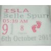 Babies Birth Details Keepsake Personalised Super Soft Fleece Blanket