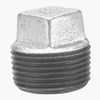 2-Inch Galvanized Plug