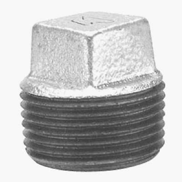 2-Inch Galvanized Plug