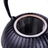 Nambu Ironware, Teapot, Tea Pot, Includes Tea Strainer, Iron Supplement, 19.7 fl oz (550 ml)