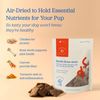Downtown Pet Supply Chicken Jerky with Bone Broth, Carrot, 10oz