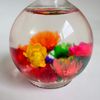 Vanfa Cuticle Oil infused with real flower (Jasmine)
