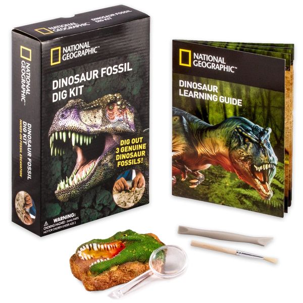 National Geographic© Dinosaur Fossil Dig Kit