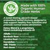 Animal Essentials Detox/Allergy Blend 2 oz